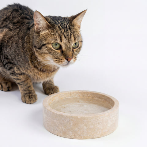 One - Marble Bowl