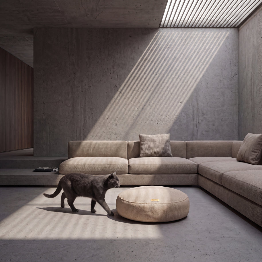 Abbiocco Cashmere Blend - lifestyle with cat (AI-composited)