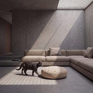 Abbiocco Cashmere Blend - lifestyle with cat (AI-composited)