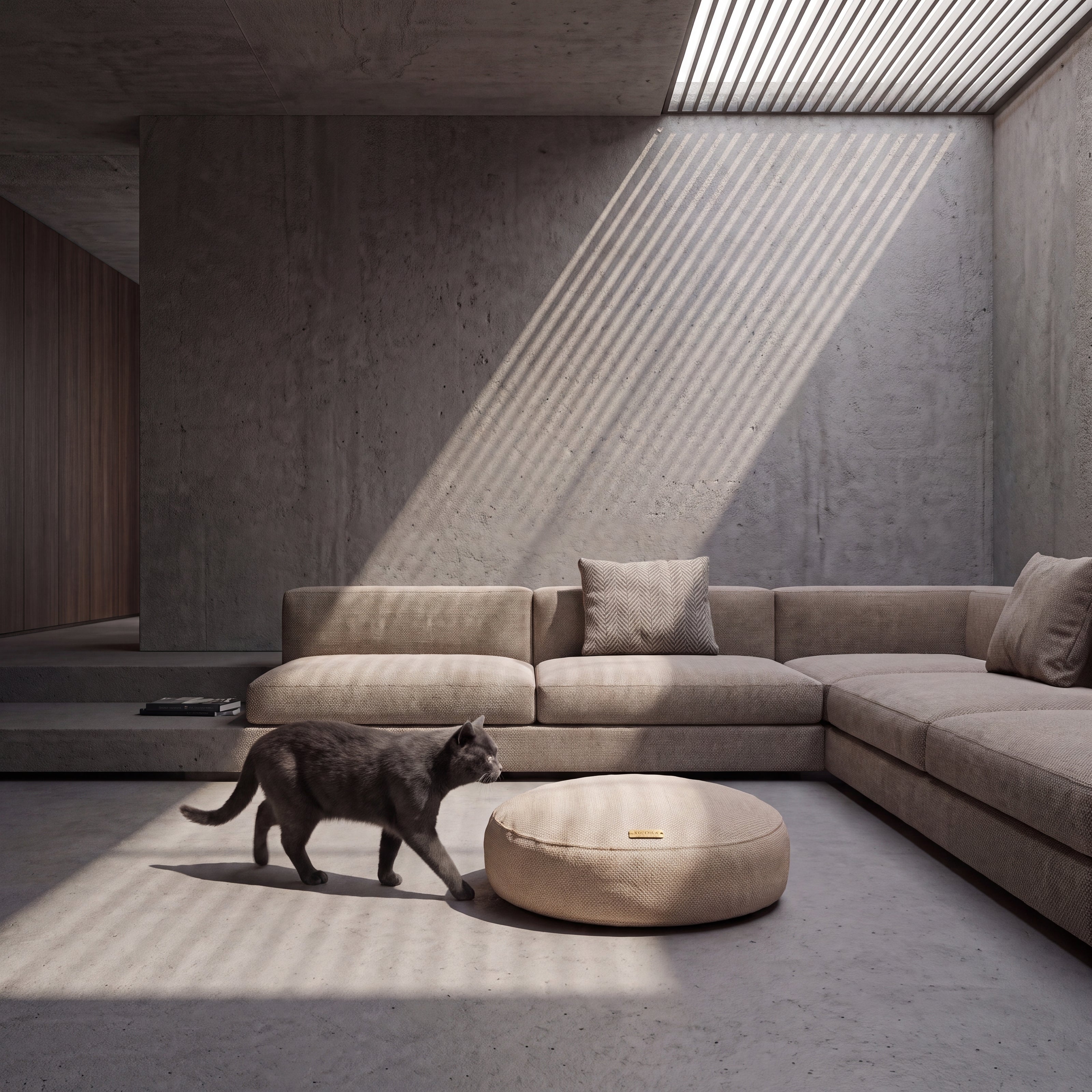 Abbiocco Cashmere Blend - lifestyle with cat (AI-composited)