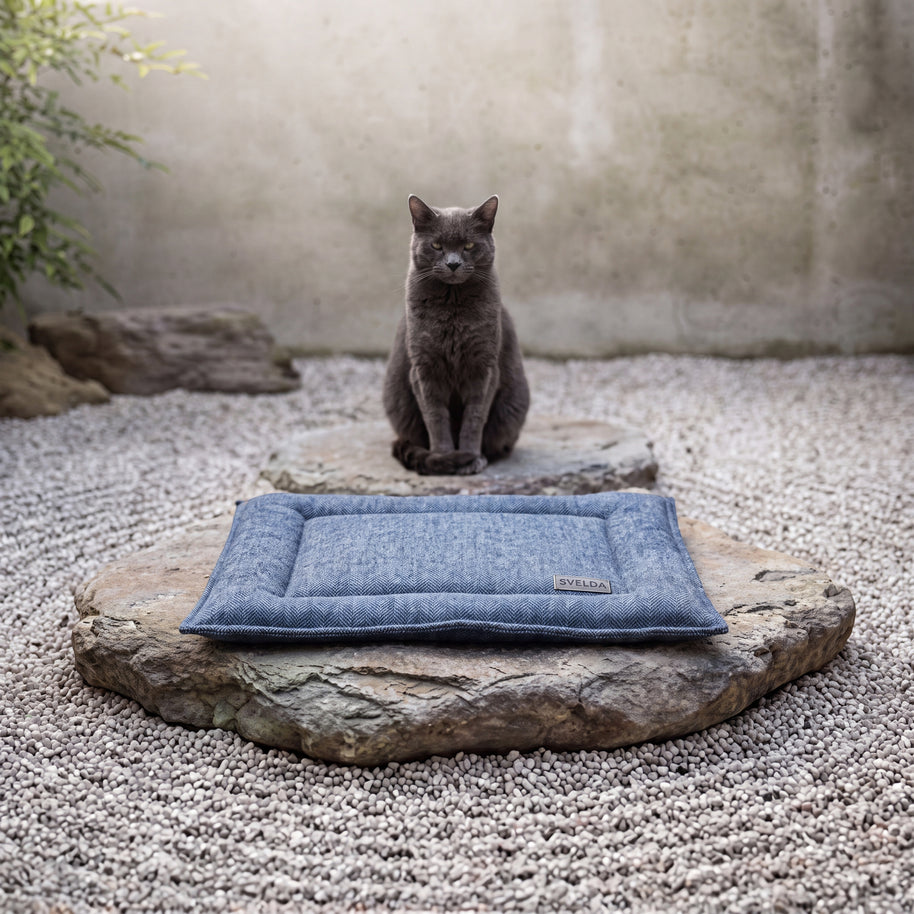 Tito Cashmere Blend - lifestyle with cat (AI-composited)